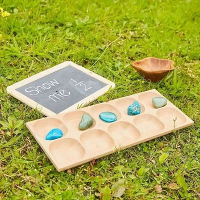 10 Frame Tray-10 Frame Tray