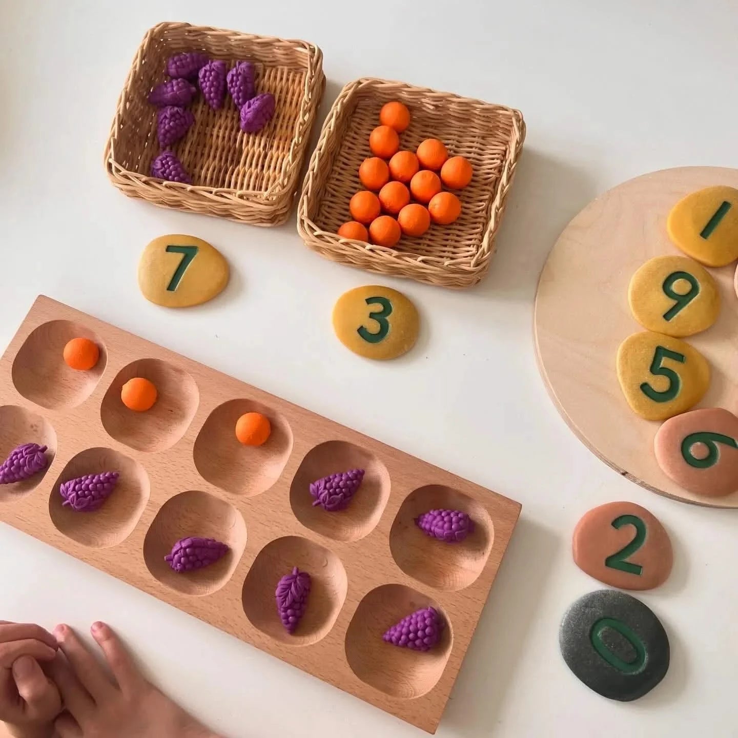 10 Frame Tray-10 Frame Tray
