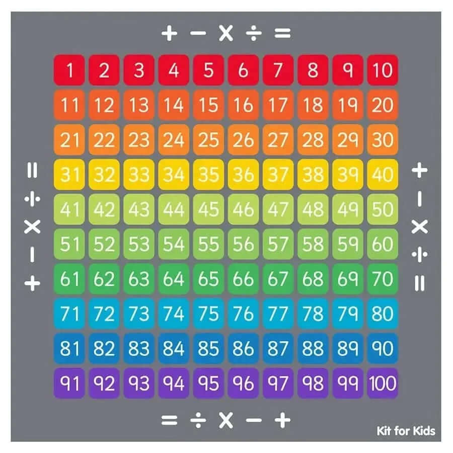 100 Square Counting Grid Carpet-100 Square Counting Grid Carpet
