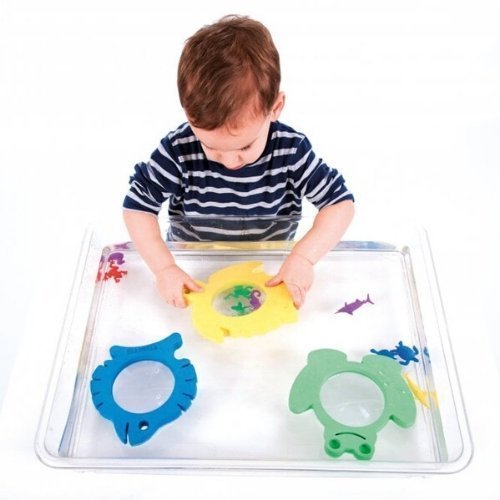 3 Pack Softie Marine Magnifiers, Dive into the world of exploration with the Softie Marine Magnifiers! This charming set of three chunky, aquatic-themed magnifiers is meticulously crafted for young adventurers, blending learning and play in the most delightful, marine-inspired way! 🌟 Marine Exploration for Little Hands: With a yellow turtle, a blue fish, and a green frog, each Softie Marine Magnifier is ideally sized for little hands to grip and explore, offering a 2x magnifying lens in the center. The ligh