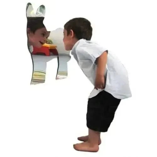 4 Farm Animal Mirrors-4 Farm Animal Mirrors