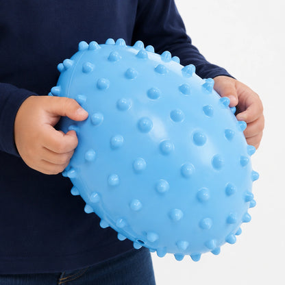 4 Pack Sensory Odd Balls-4 Pack Sensory Odd Balls