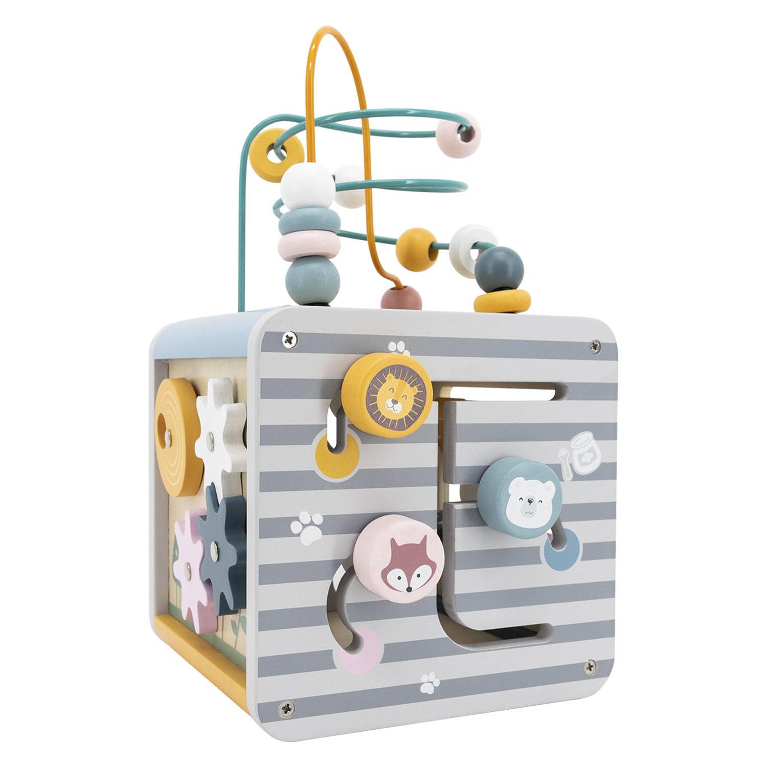 PolarB 5-in-1 Activity Box