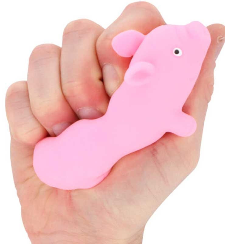 Squishy Stretchy Pig Toy