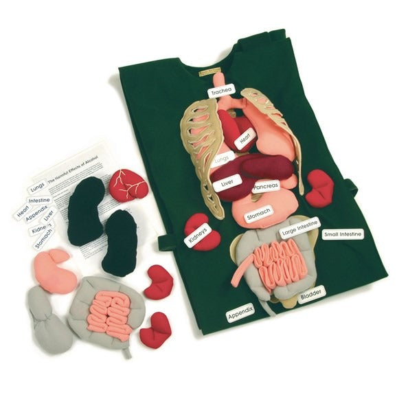 Adult Tunic & Organs Set, The Adult Organ Tunic is not just your ordinary anatomy learning tool; it's a comprehensive and interactive way to explore the intricacies of the human body. With additional organs like the pancreas, bladder, and trachea, this set is perfectly tailored for Key Stage 2 and Key Stage 3 students. Complete with an adjustable tunic, 11 organs, 11 labels, and a useful reference sheet, the Adult Organ Tunic offers a hands-on approach to learning that engages and educates. Adult Tunic & Or