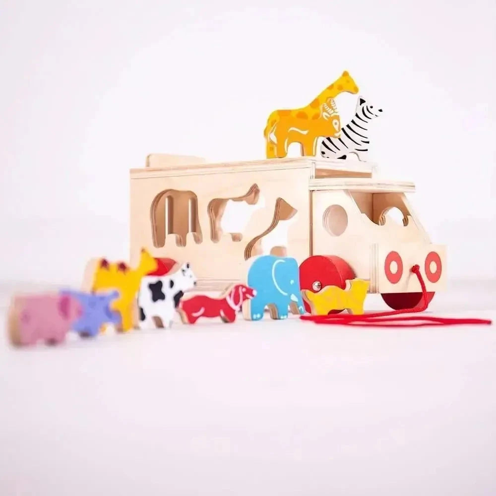 Animal Shape Lorry-Animal Shape Lorry
