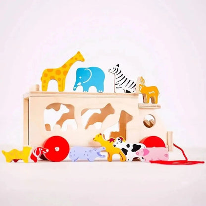 Animal Shape Lorry-Animal Shape Lorry
