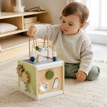 Artic Motor Skills Cube-Artic Motor Skills Cube