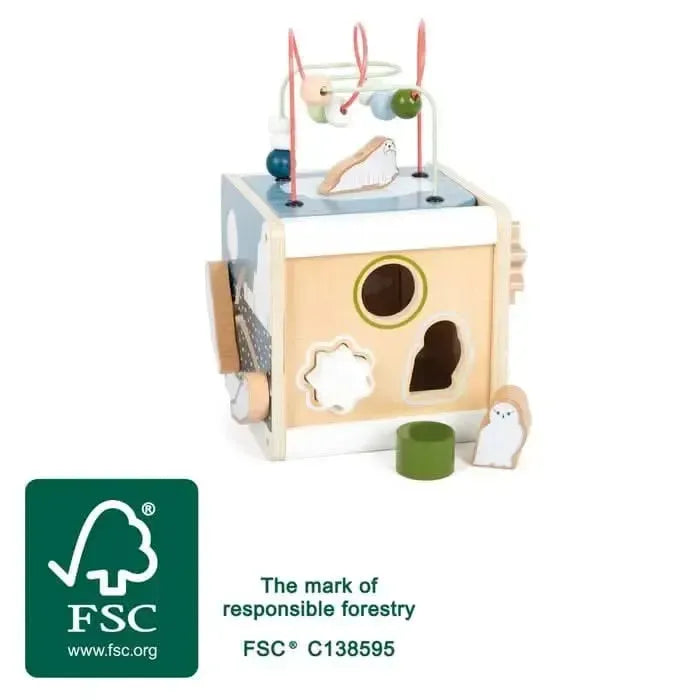 Artic Motor Skills Cube-Artic Motor Skills Cube