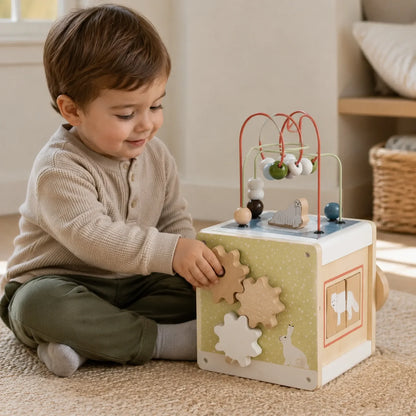Artic Motor Skills Cube-Artic Motor Skills Cube