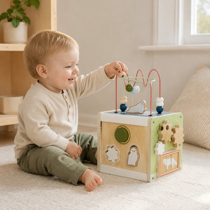 Artic Motor Skills Cube-Artic Motor Skills Cube