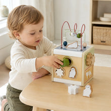 Artic Motor Skills Cube-Artic Motor Skills Cube