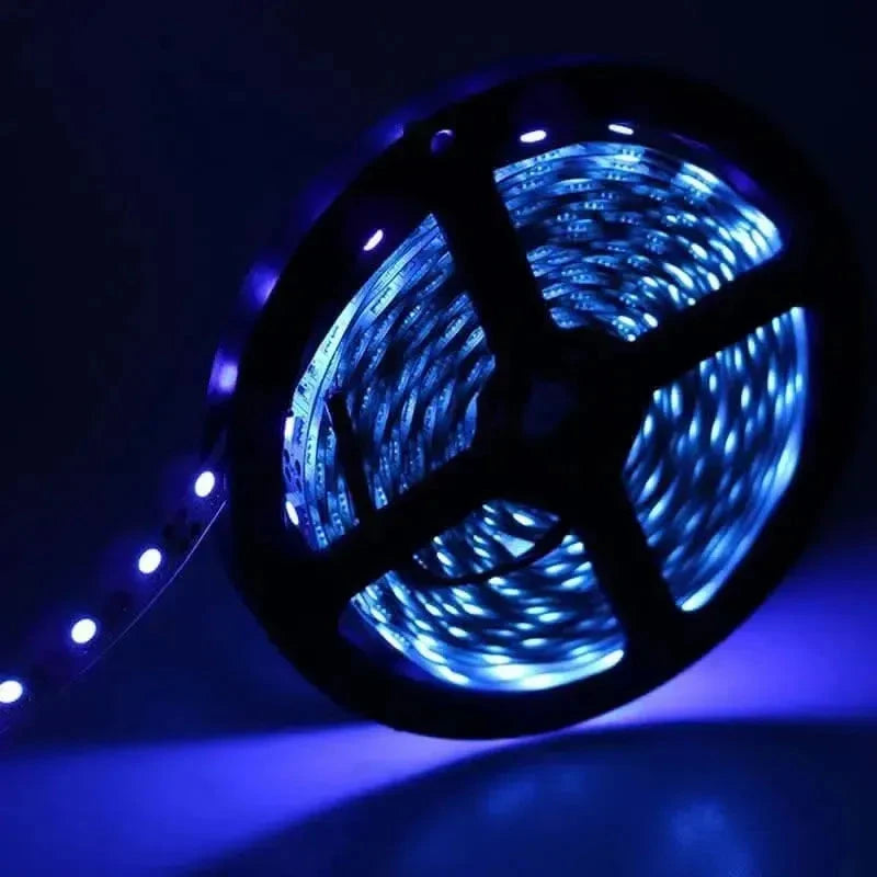 Aurora UV chameleon-Aurora UV chameleon