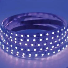 Aurora UV chameleon-Aurora UV chameleon