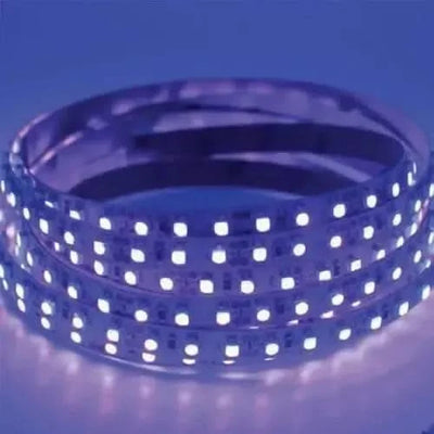 Aurora UV chameleon-Aurora UV chameleon