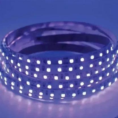 Aurora UV chameleon-Aurora UV chameleon