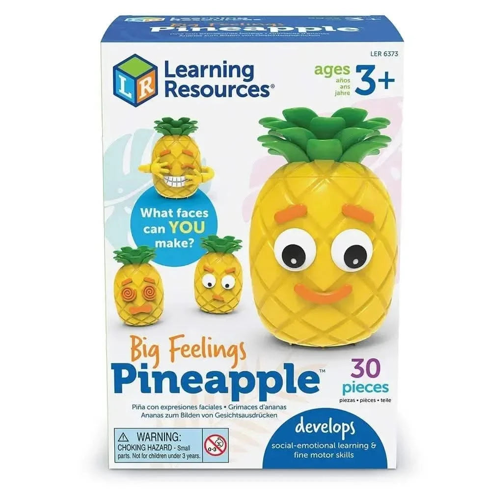 Big Feelings Pineapple-Big Feelings Pineapple