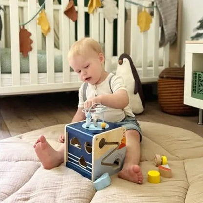 Big Ocean Motor Activity Cube-Big Ocean Motor Activity Cube