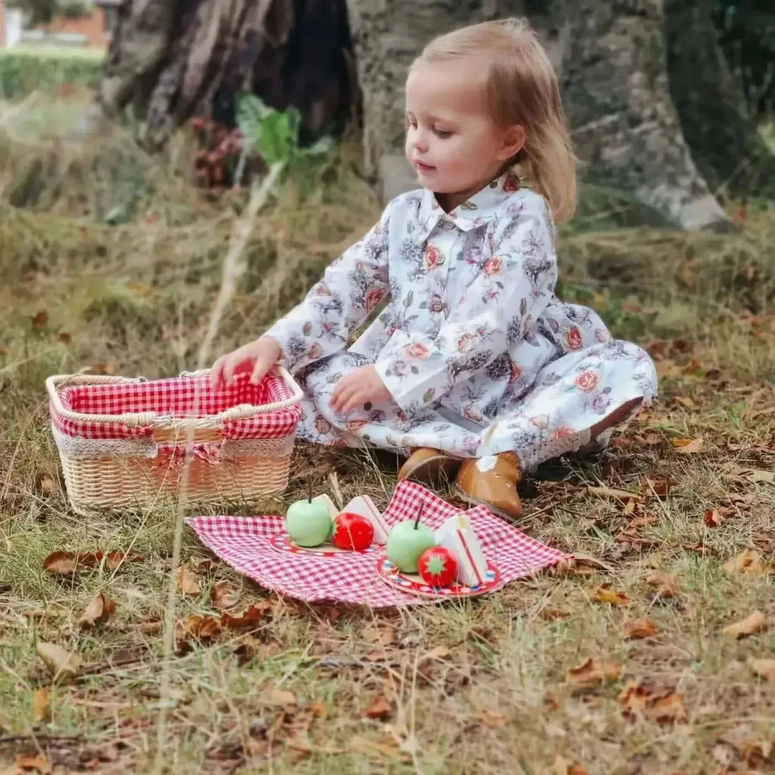 Bigjigs Picnic Basket-Bigjigs Picnic Basket