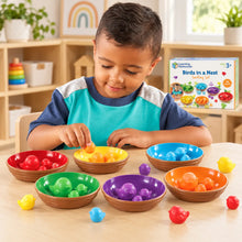 Birds in a Nest Sorting Set-Birds in a Nest Sorting Set