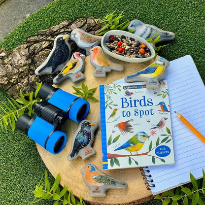 Birds – Sensory Play Stones-Birds – Sensory Play Stones