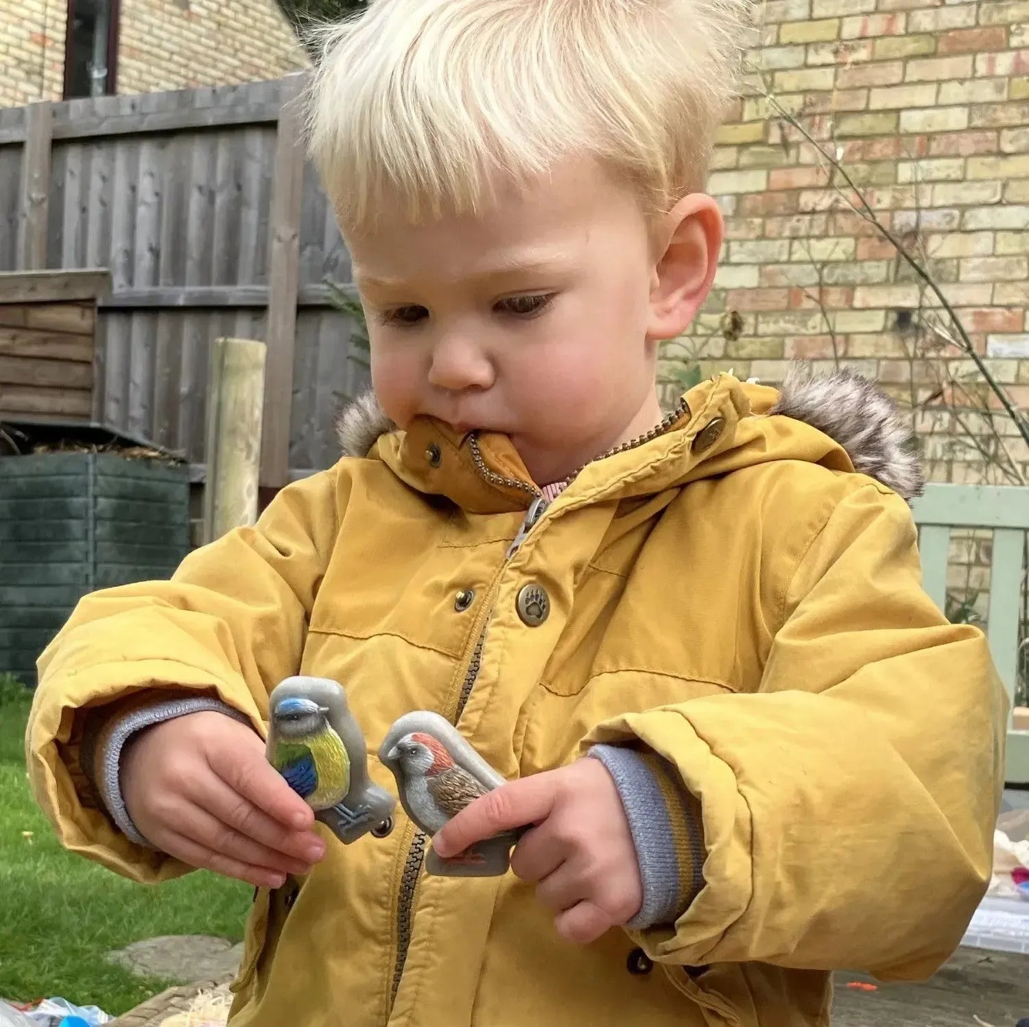 Birds – Sensory Play Stones-Birds – Sensory Play Stones