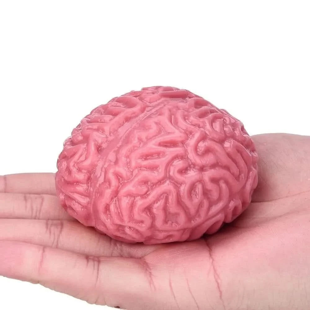 Brain Stress Ball-Brain Stress Ball