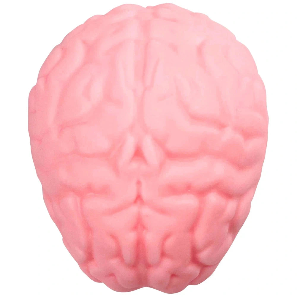 Brain Stress Ball-Brain Stress Ball