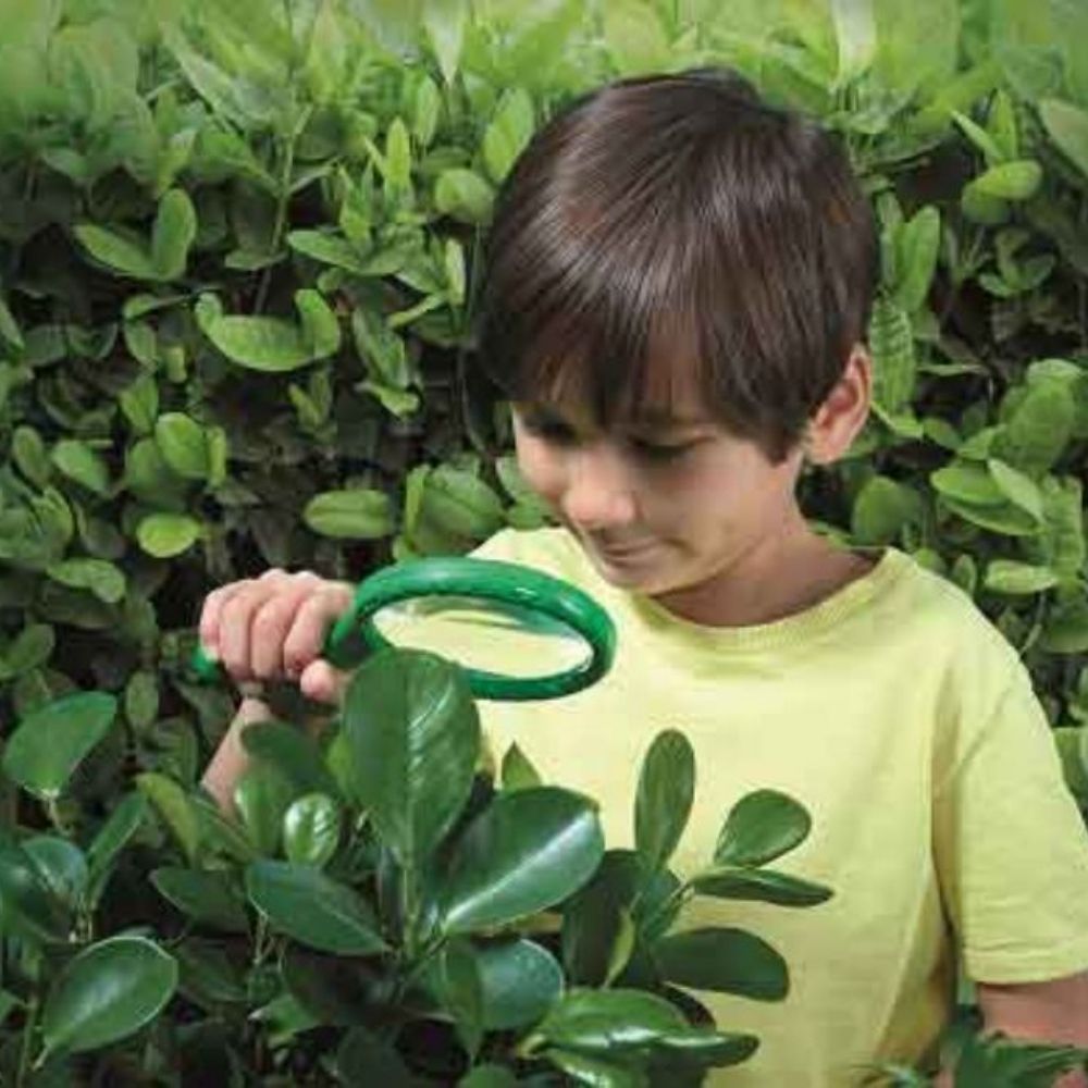 Brainstorm Toys Outdoor Adventure Magnifier, Take a closer look at plants, animals and insects with this Brainstorm Toys Outdoor Adventure Magnifier. The Brainstorm Toys Outdoor Adventure Magnifier is a great way to provoke discussion and encourage interaction. The Brainstorm Toys Outdoor Adventure Magnifier is perfect for Forest School activities. Get active with the Outdoor Adventure range from Brainstorm. Discover and observe all kinds of fascinating flora and fauna up close with this handheld magnifier.