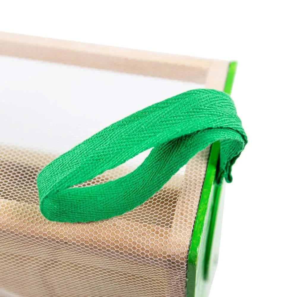 Bug Box-Bug Box