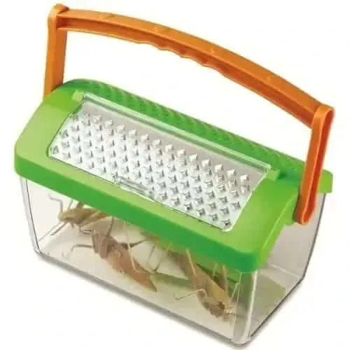 Bug House-Bug House