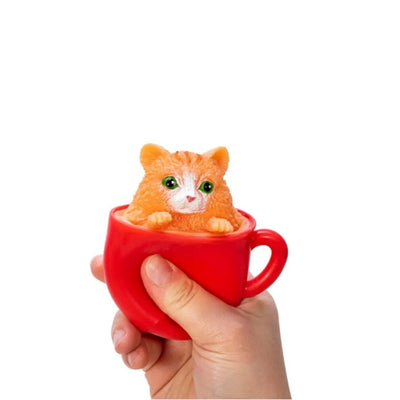 Cat in a cup-Cat in a cup