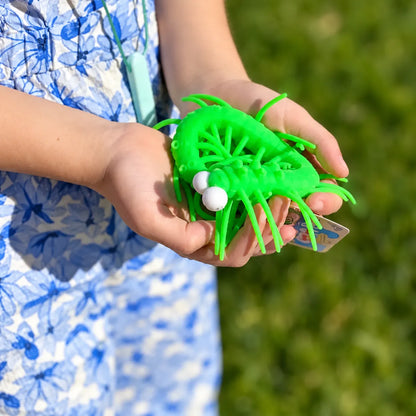 Green centipede toy curled in a child's hands