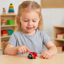 Clockwork Ladybird-Clockwork Ladybird