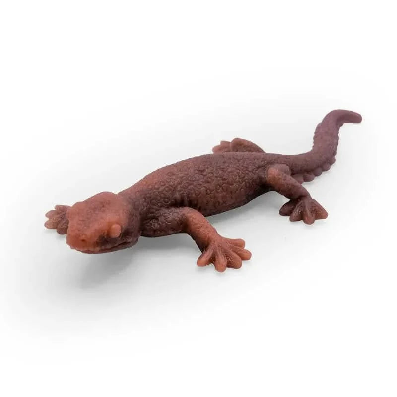 Colour Change Lizards-Colour Change Lizards