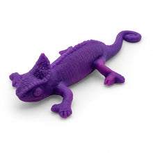 Colour Change Lizards-Colour Change Lizards