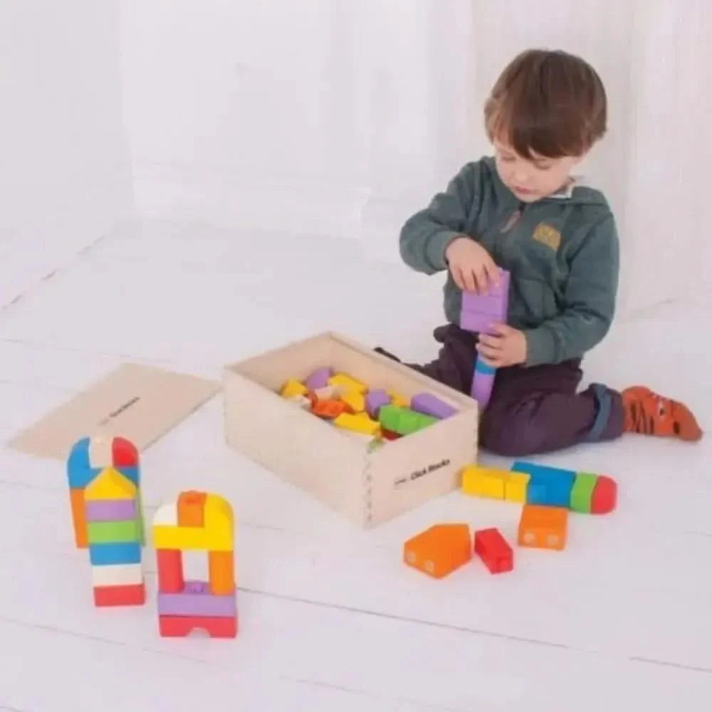Coloured Click Blocks (100 Pieces)-Coloured Click Blocks (100 Pieces)