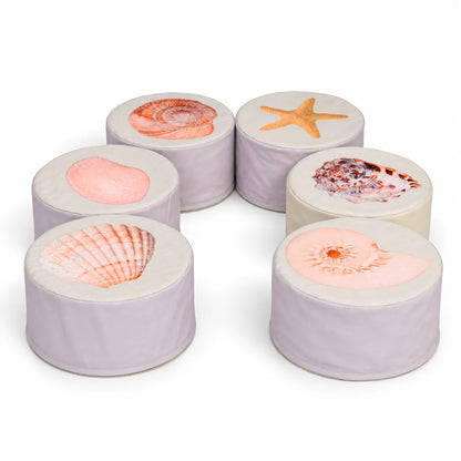 Shell Buffets