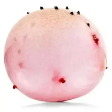 Dinosaur Balloon Ball-Dinosaur Balloon Ball