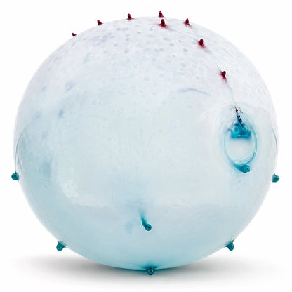 Dinosaur Balloon Ball-Dinosaur Balloon Ball
