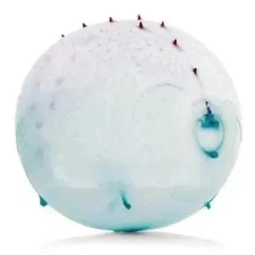 Dinosaur Balloon Ball-Dinosaur Balloon Ball