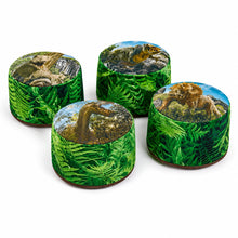 Dinosaur Beany Buffet Set of 4-Dinosaur Beany Buffet Set of 4