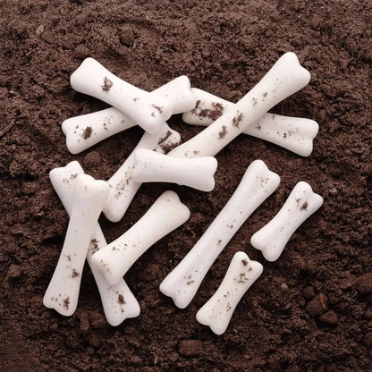 Dinosaur Bones Discovery Set-Dinosaur Bones Discovery Set