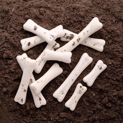 Dinosaur Bones Discovery Set-Dinosaur Bones Discovery Set