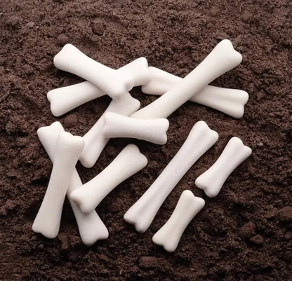 Dinosaur Bones Discovery Set-Dinosaur Bones Discovery Set