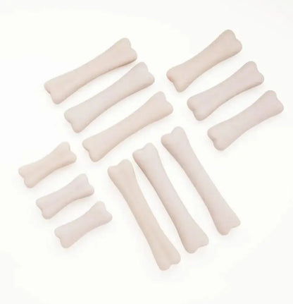 Dinosaur Bones Discovery Set-Dinosaur Bones Discovery Set