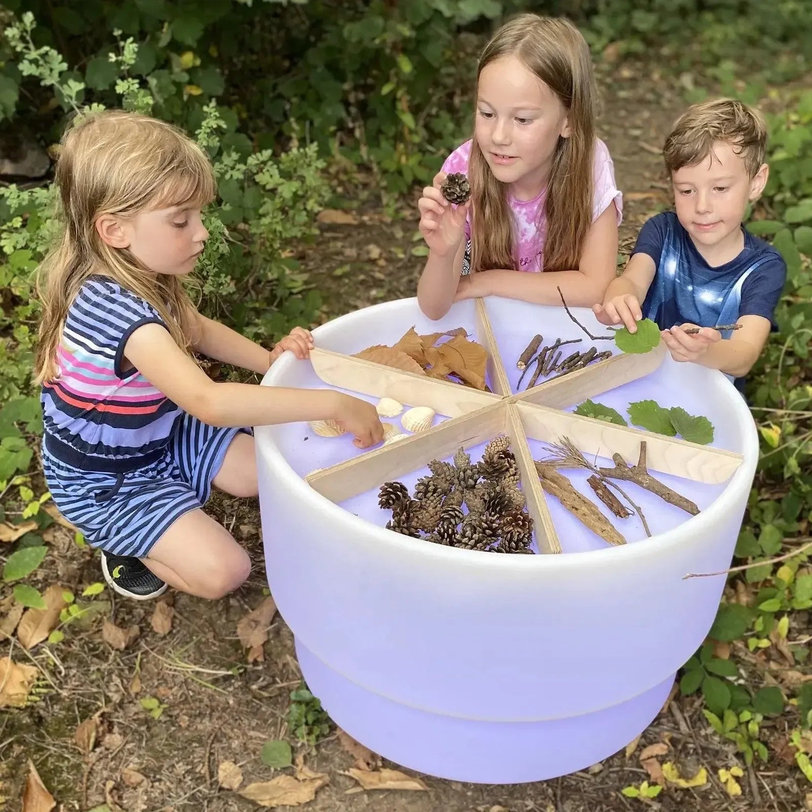 Discovery Dividers-Discovery Dividers