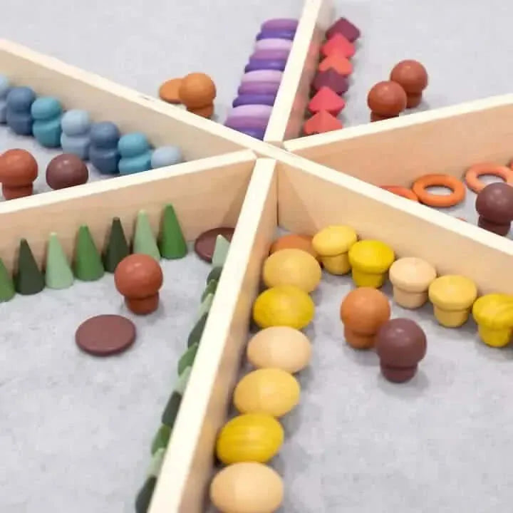 Discovery Dividers-Discovery Dividers