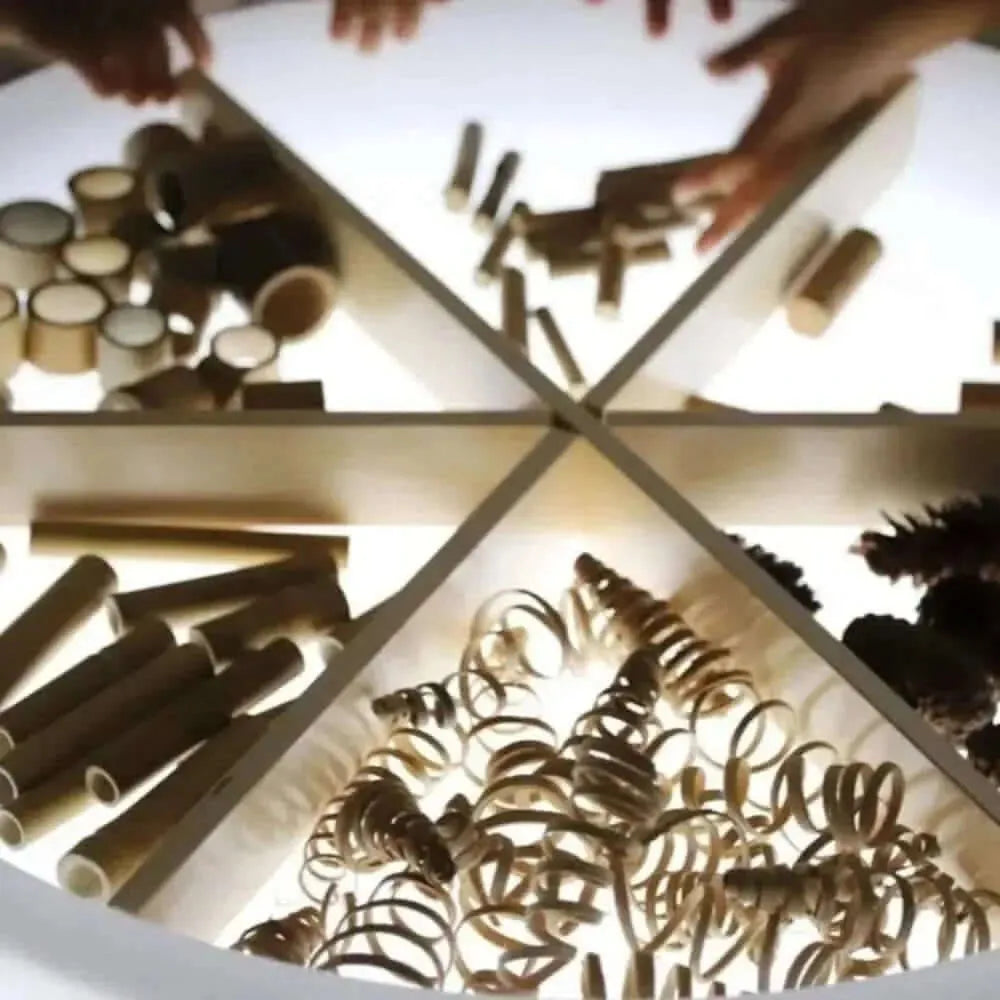 Discovery Dividers-Discovery Dividers