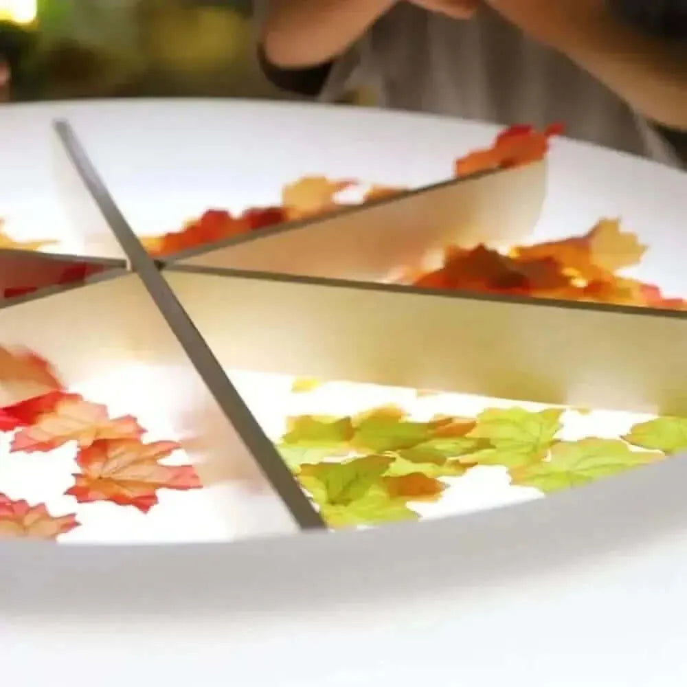 Discovery Dividers-Discovery Dividers